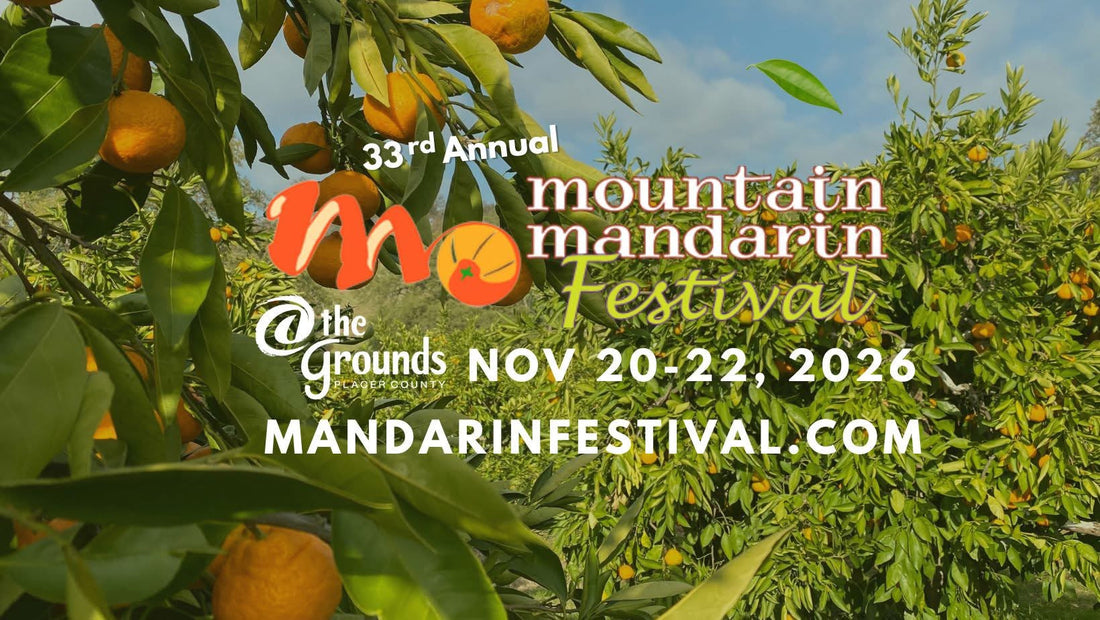 Mountain Mandarin Festival 2026 | Roseville | Adriana Maria Designs